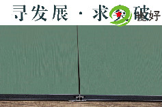 2020年，你想要的最新款护墙板都在这里了！